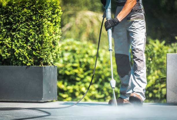Best Paint Preparation  in Cranston, RI